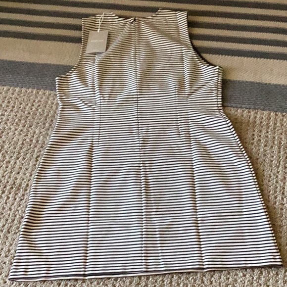 Everlane Dream Shift Sleeveless Dress Black and White Stripes - Picture 5 of 7